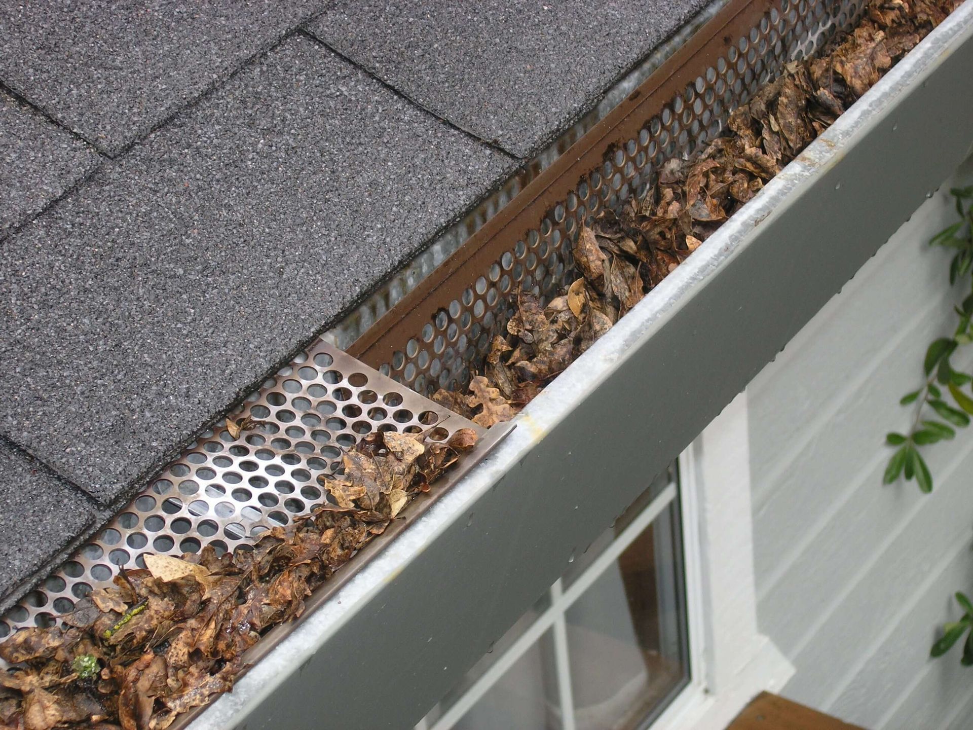 Dirty gutters with leaves and debris that need to be cleaned out