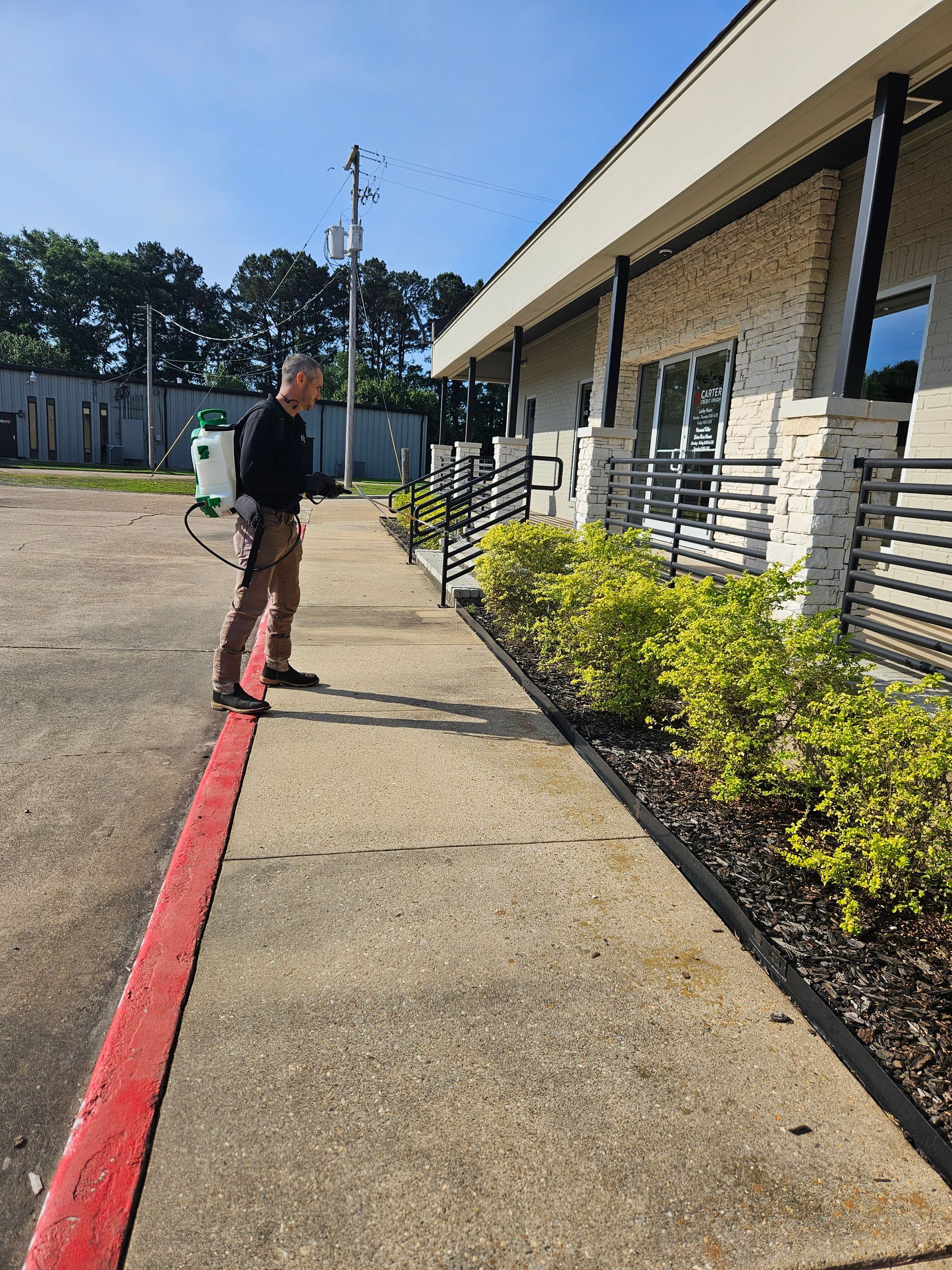 Person standing on a sunlit sidewalk beside a building and red curb line