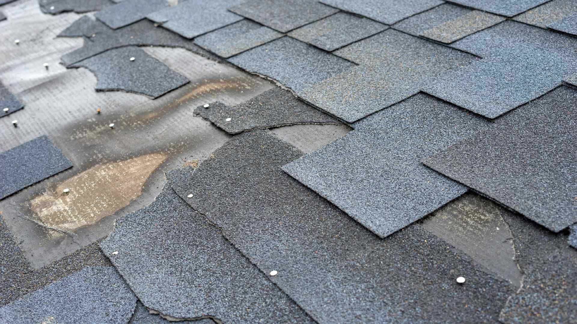 TrustWorks Construction_Picture of damages shingles due to a storm