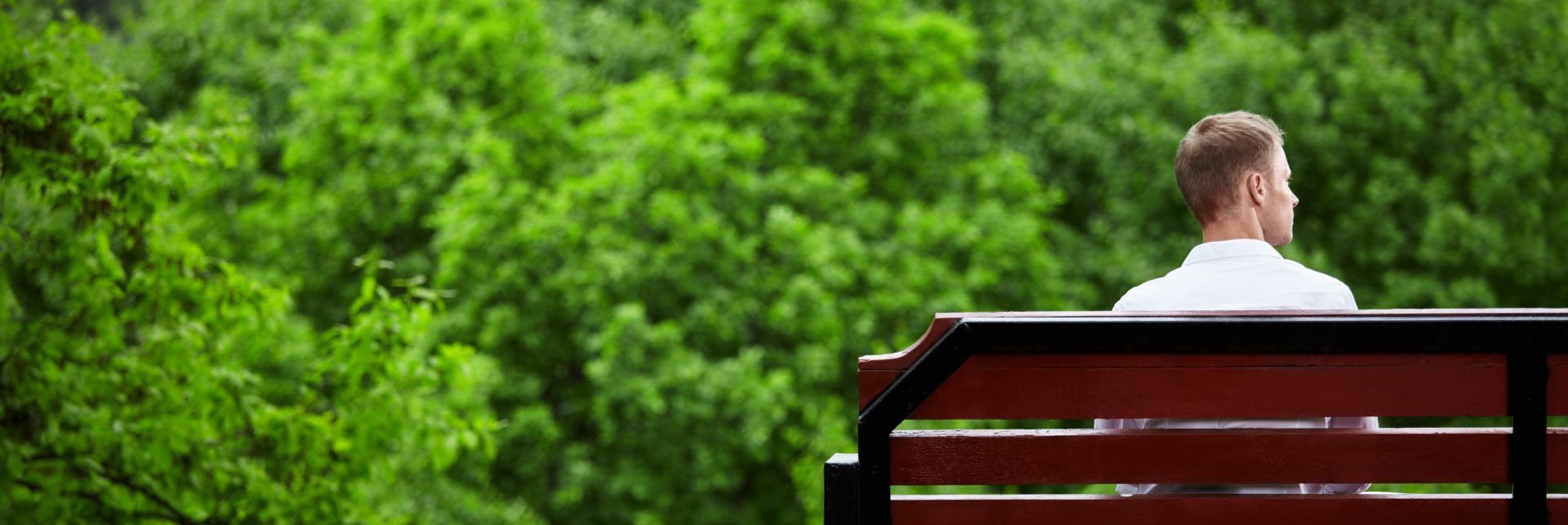 Person sitting on a bench facing lush green trees and a pond in a park