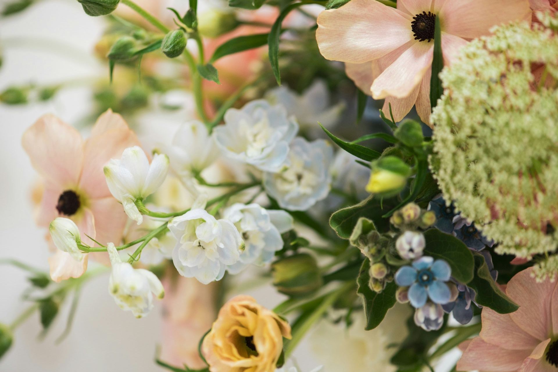 Send Flowers