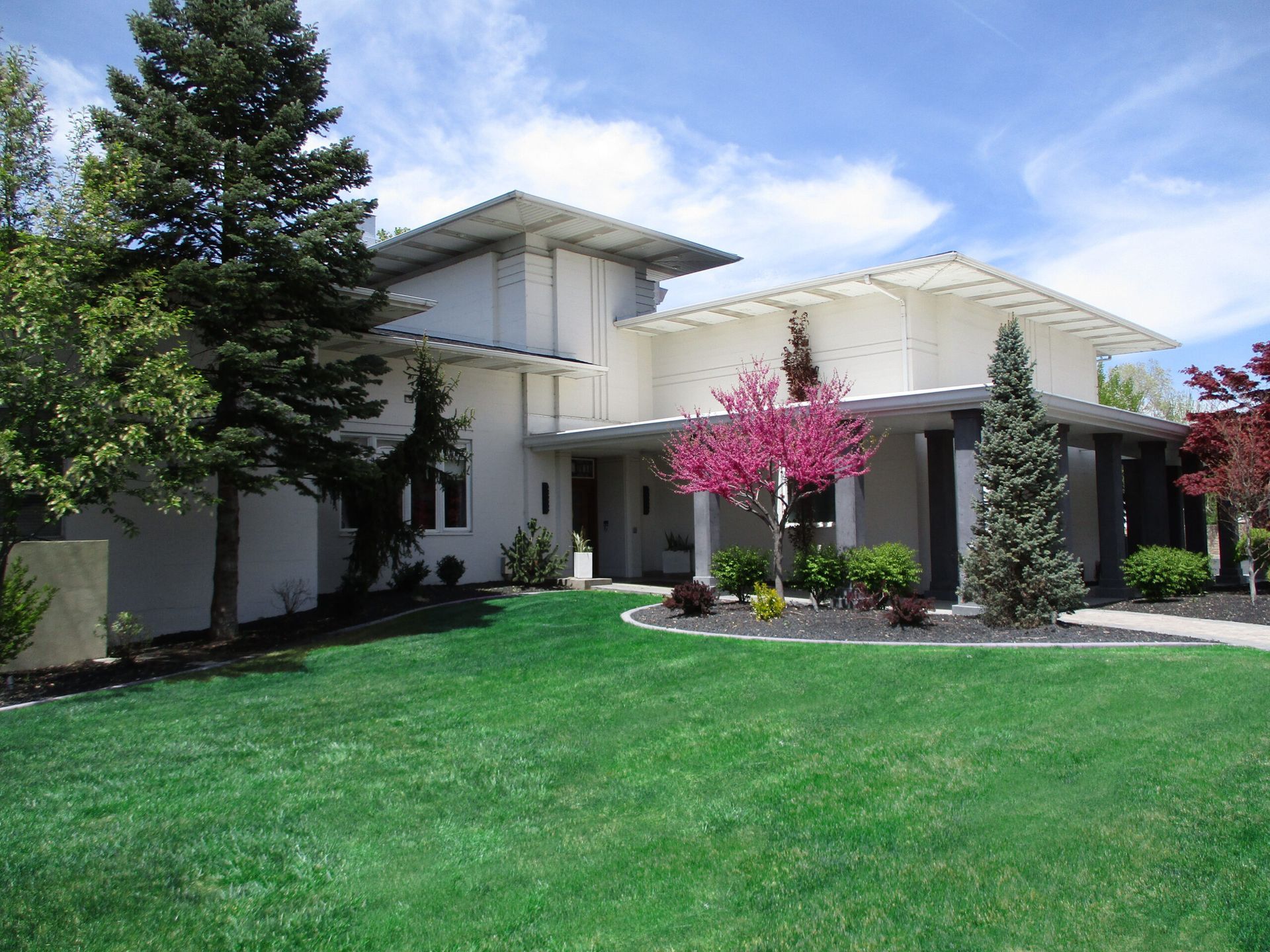 White house with a green lawn, trees, and a pink flowering shrub in the front yard