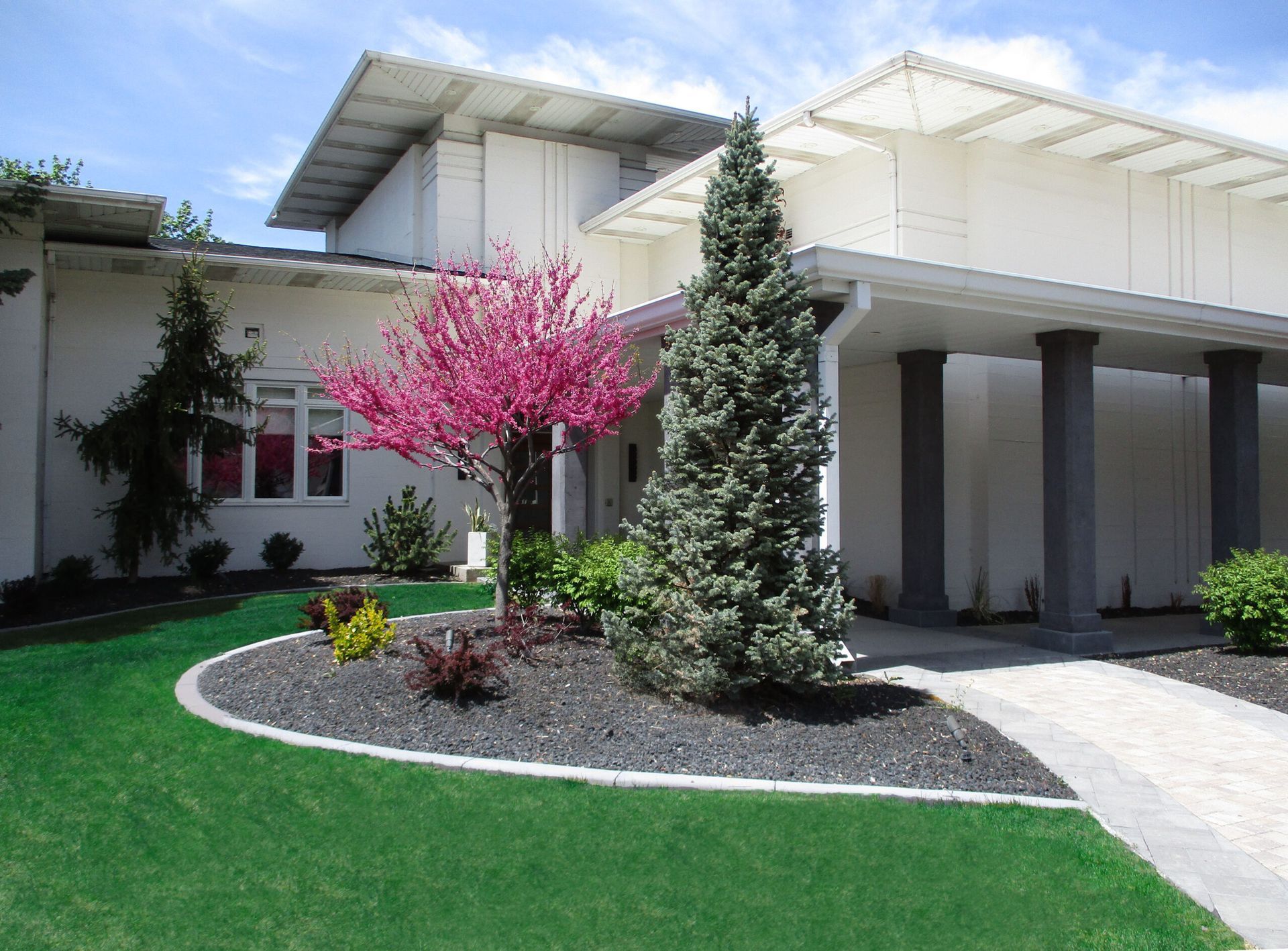 Modern house entrance with white columns, a pink flowering tree, and landscaped lawn