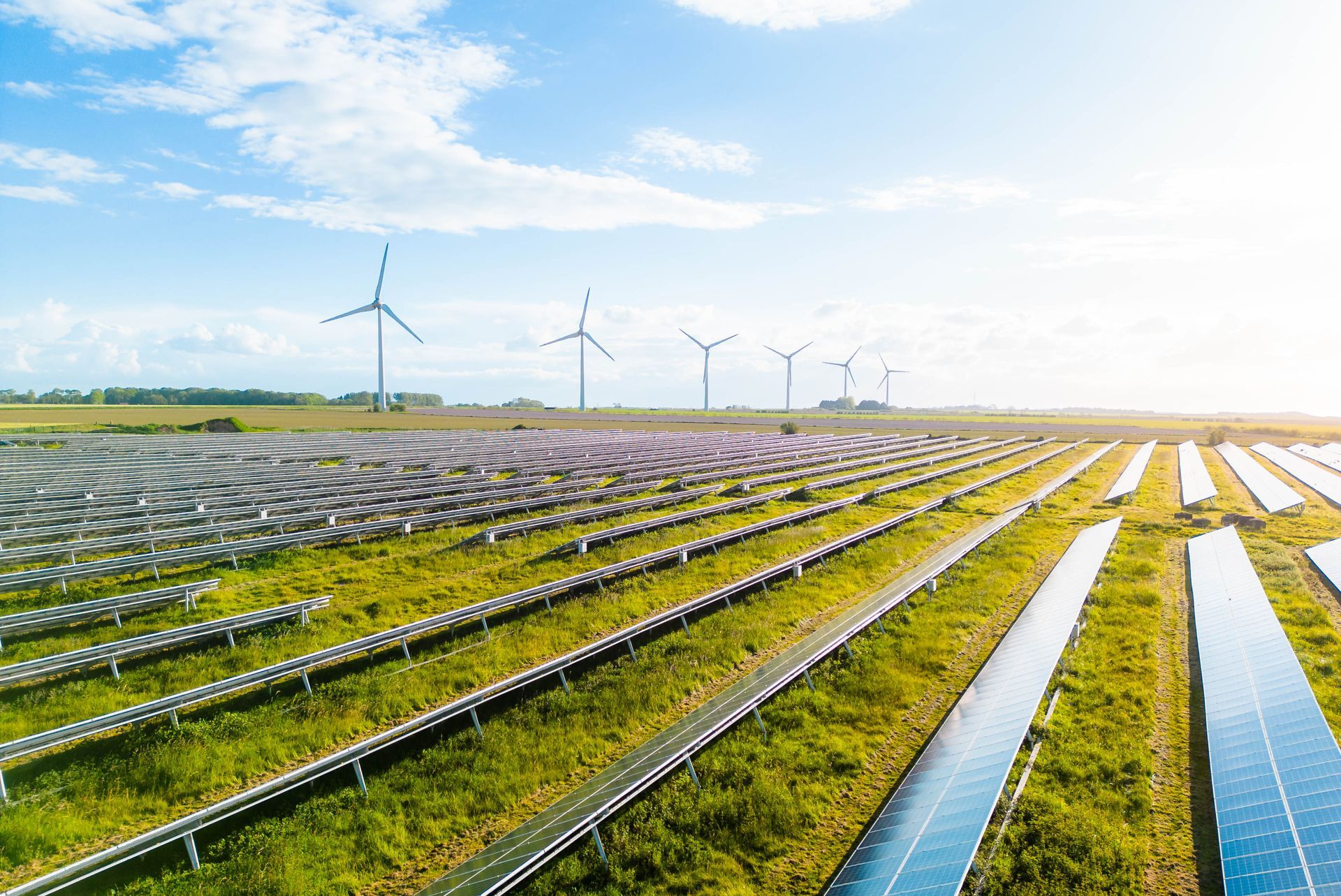 RENEWABLE ENERGY