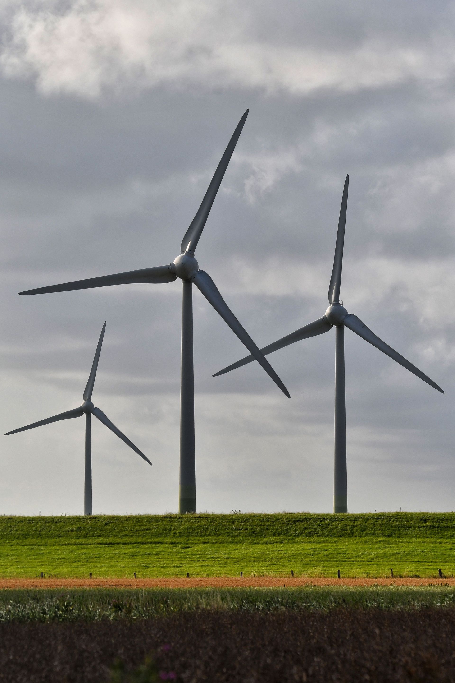RENEWABLE ENERGY