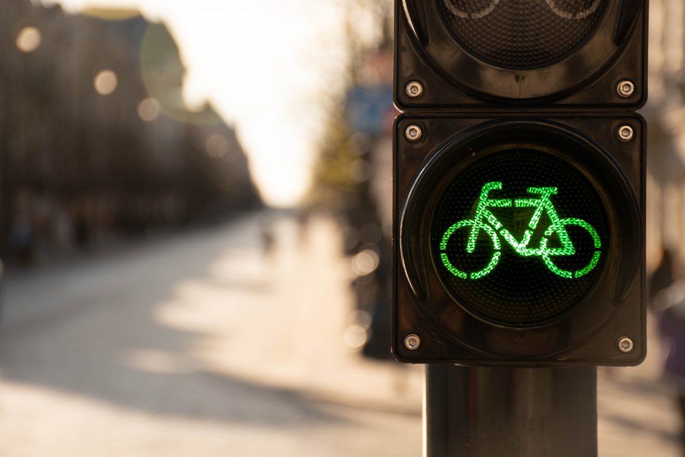 Safe Urban Driving (SUD) Training image