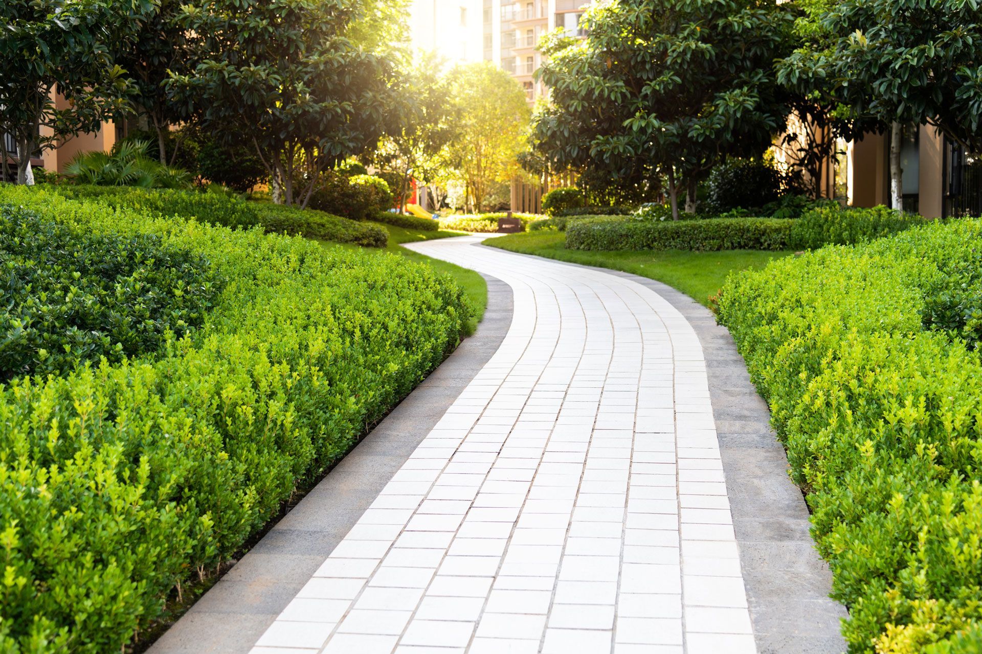 Curving white path through lush green hedges in a sunlit garden or park