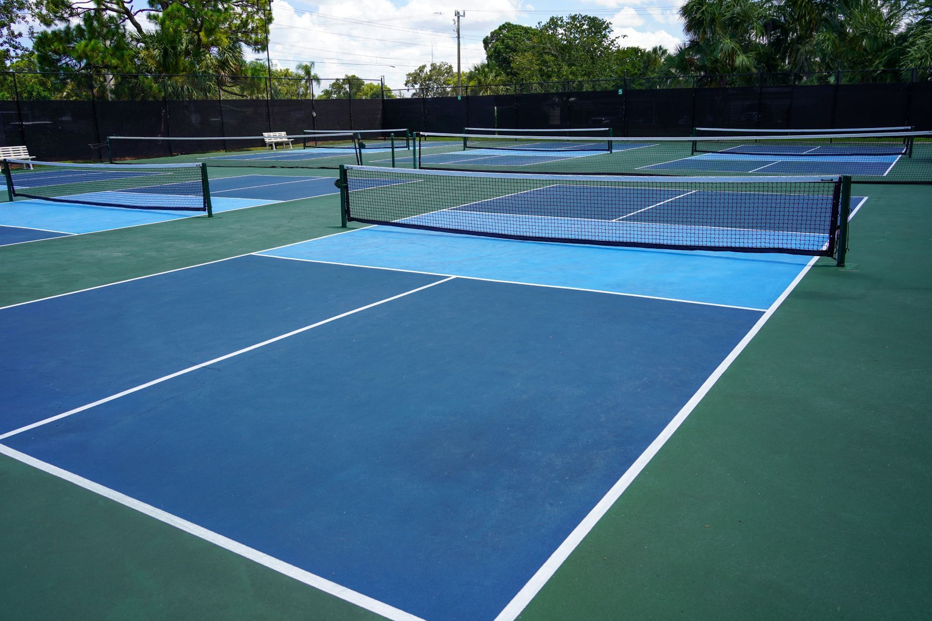 Blue pickleball courts with nets on a sunny outdoor sports complex