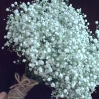 White baby's breath flowers in a bouquet tied with twine on a dark background