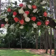 Cluster of red and white flowers hanging from a tree branch in a wooded park area