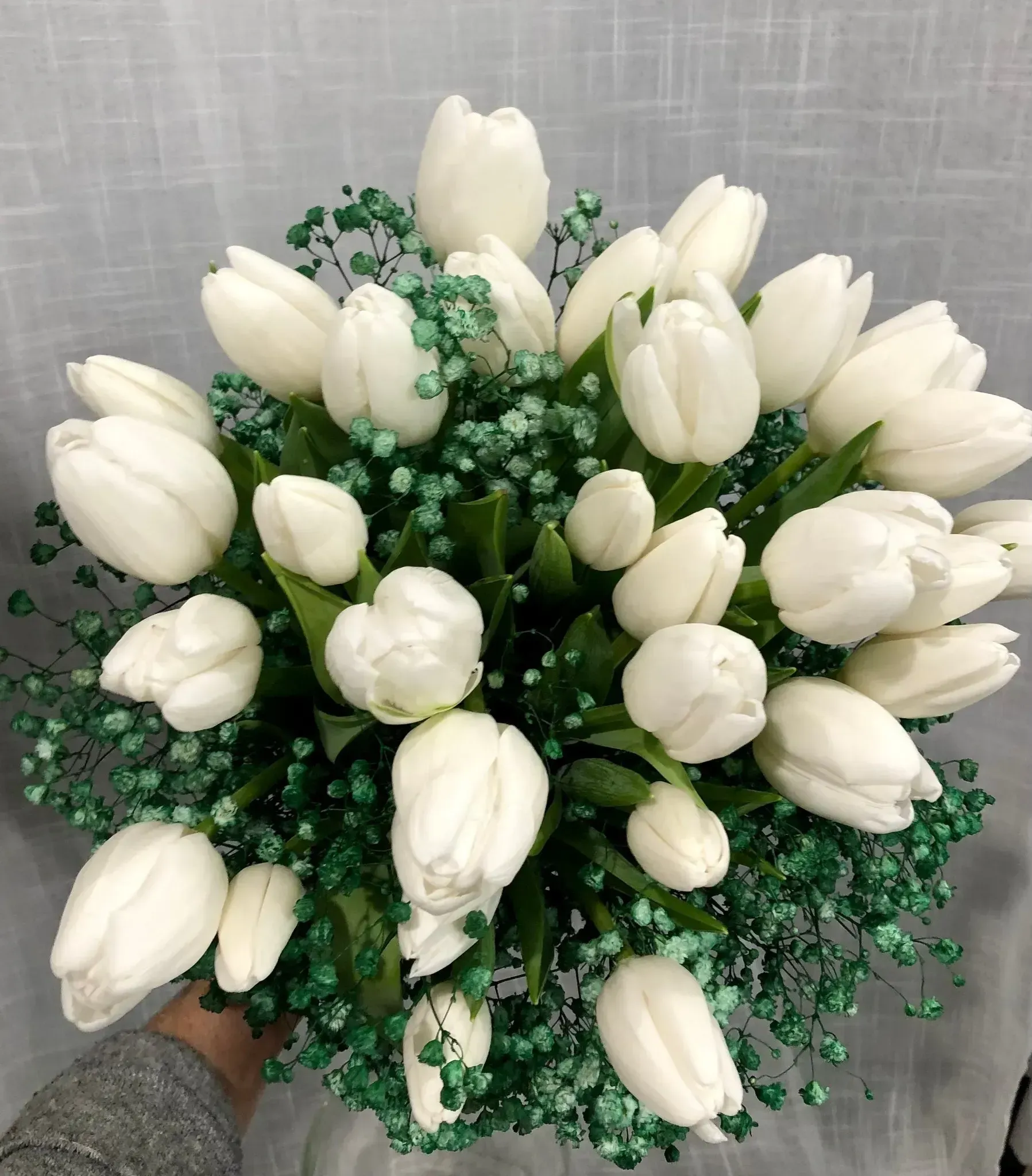 White tulips arranged in a bouquet with green foliage on a gray background