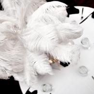 White feathered costume accessory with sparkling rhinestones on a black-and-white background