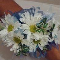 White daisy bouquet with blue accents and green leaves, resting on a hand.