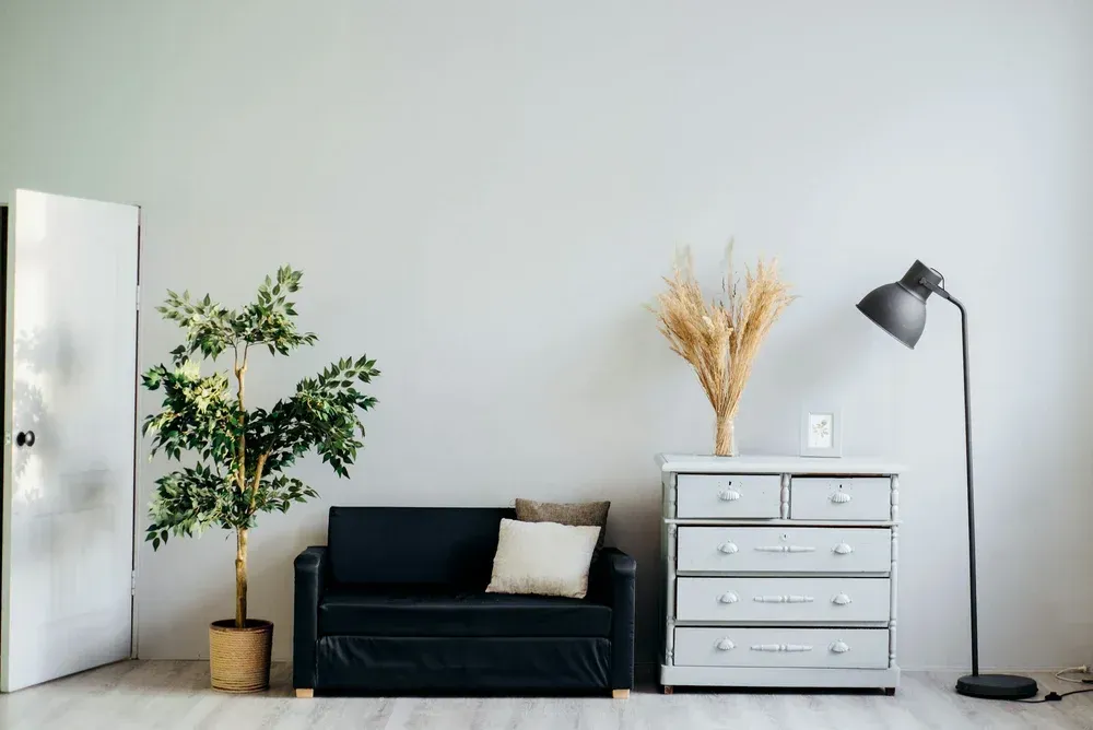Minimal room with black sofa, potted tree, white dresser, and floor lamp against a light wall.