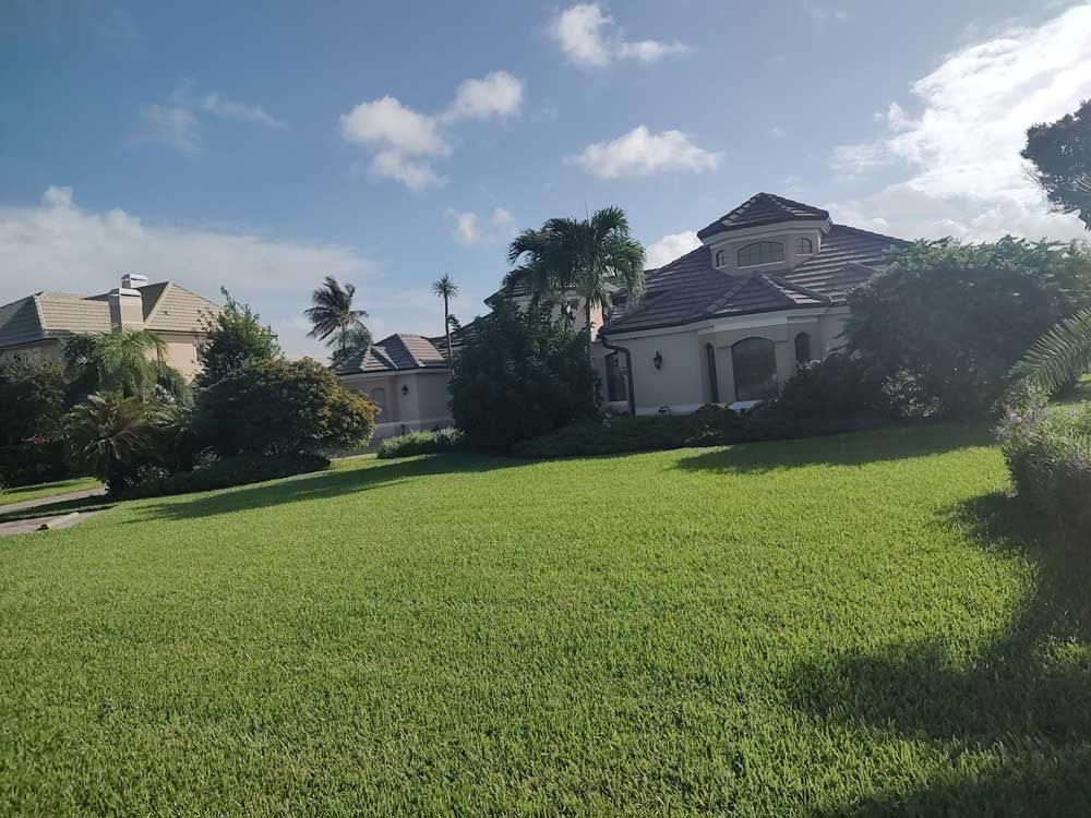 Grassy lawn with houses and trees under a bright blue sky with scattered clouds