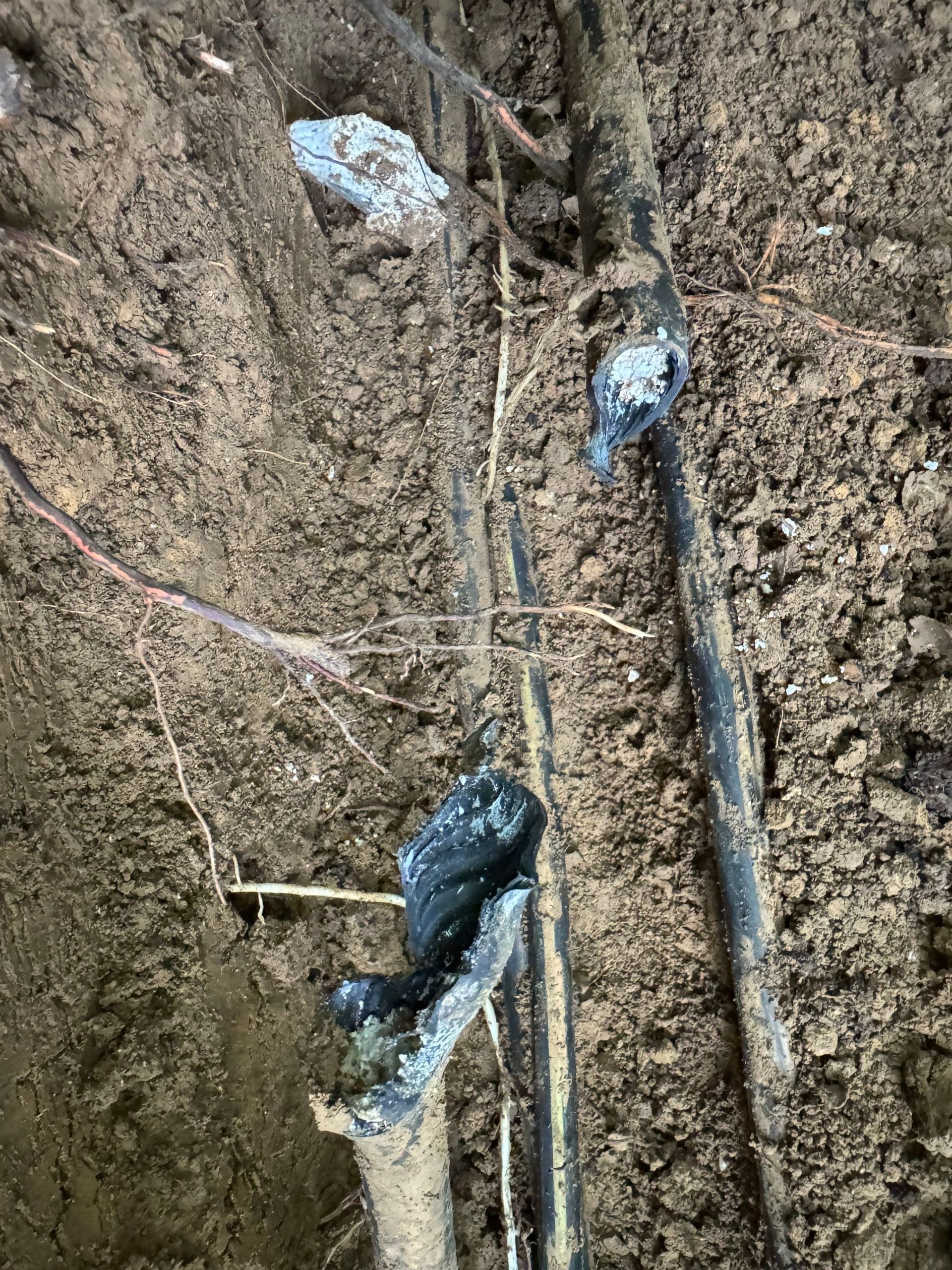 A person wearing work clothes and gloves reaches into a muddy, narrow trench containing cables.