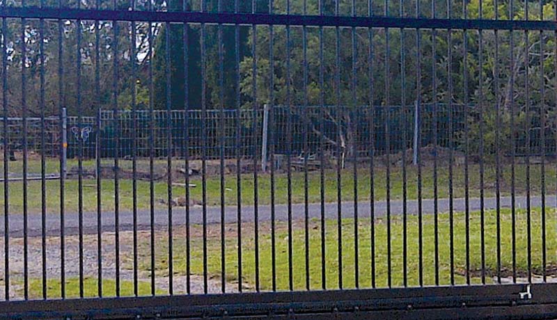 Security Steel Gates