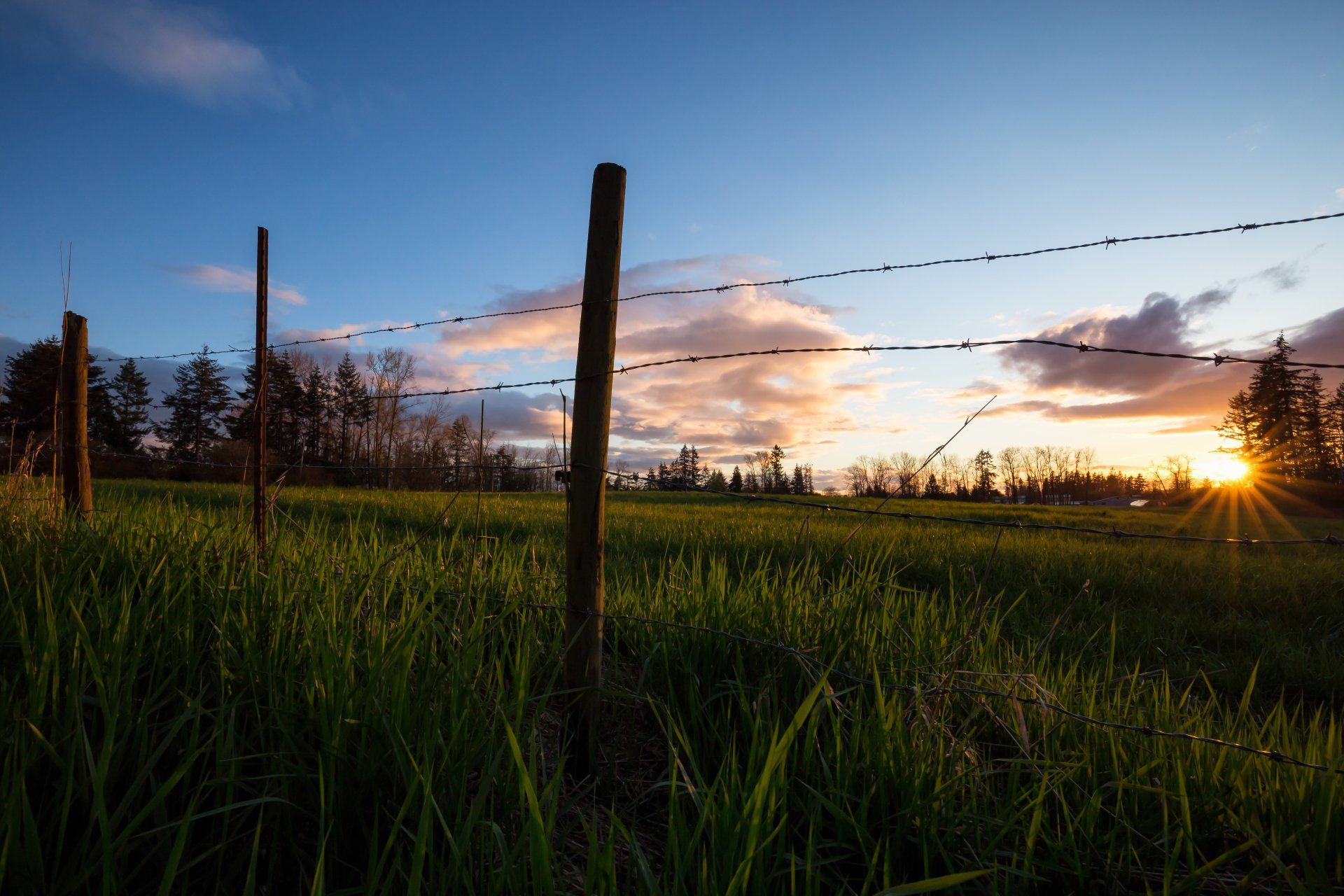 Preparing view on the farm field behind the barb wired fence