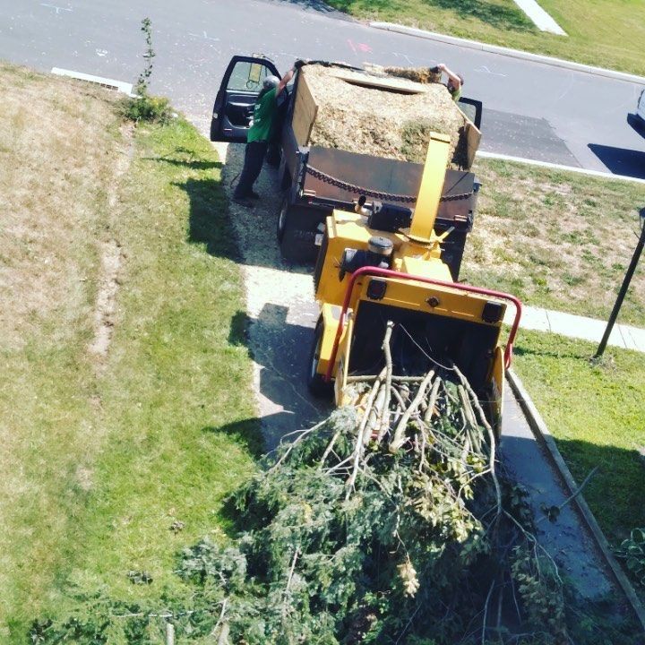 Chipping Tree Branches — Ware, MA — LaBier Brothers Tree Experts