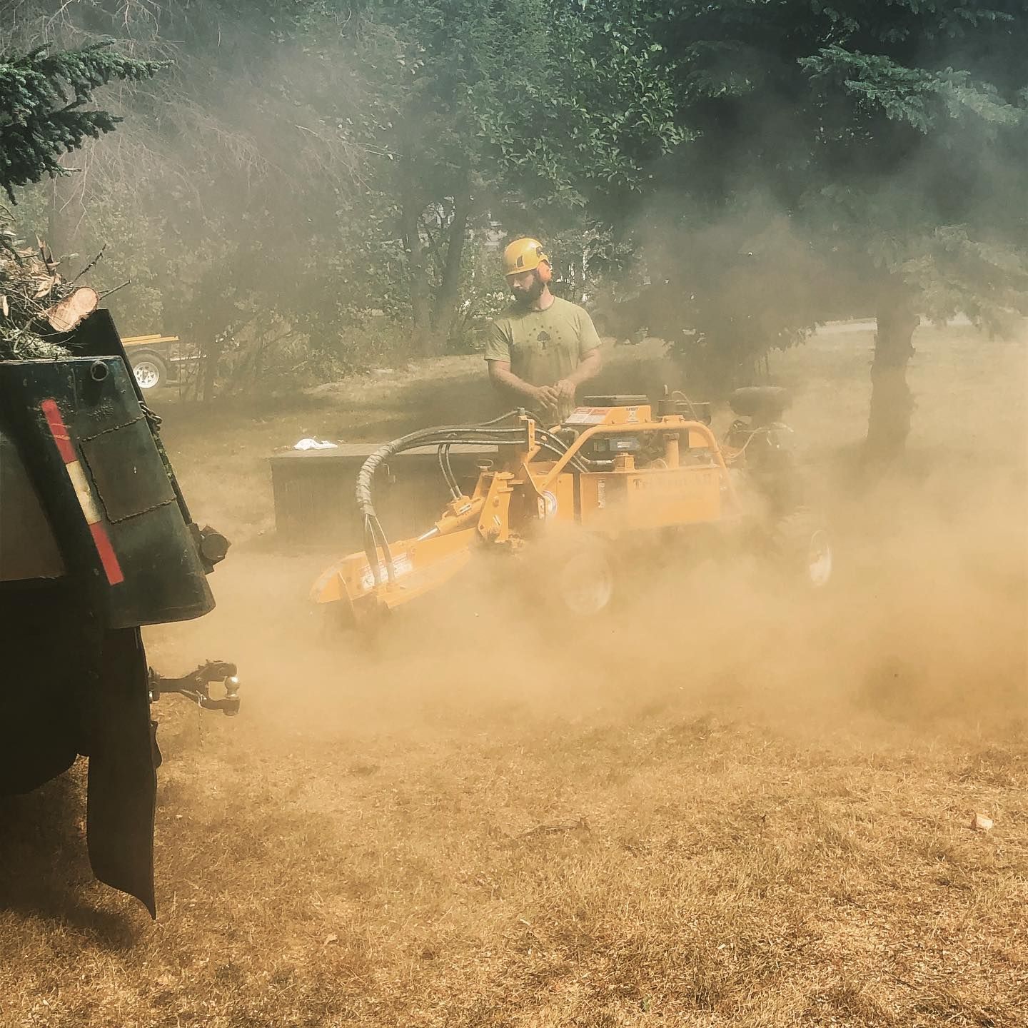 Man Grinding Tree Stump — Ware, MA — LaBier Brothers Tree Experts