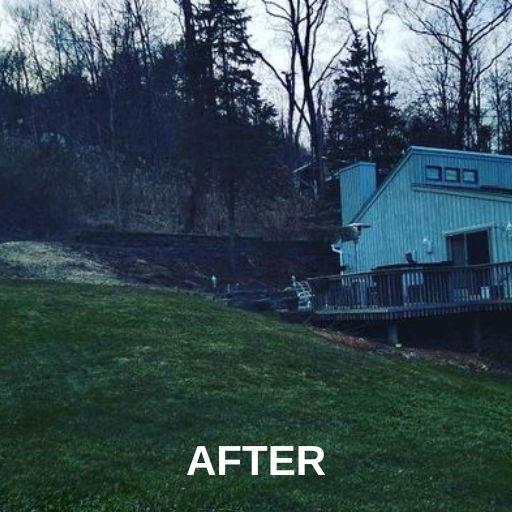 After Trimming Lush Tree Branches — Ware, MA — LaBier Brothers Tree Experts
