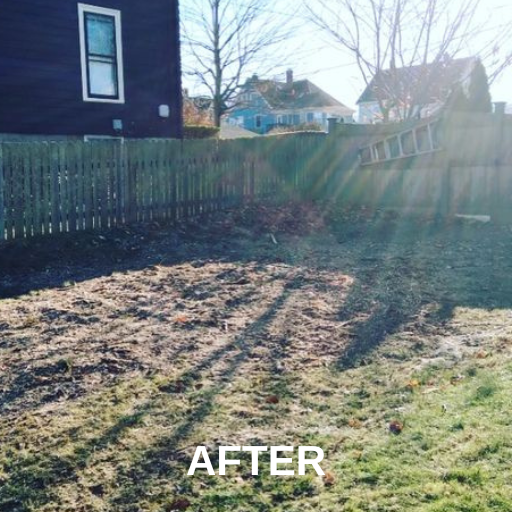 Tall Tree Removed — Ware, MA — LaBier Brothers Tree Experts