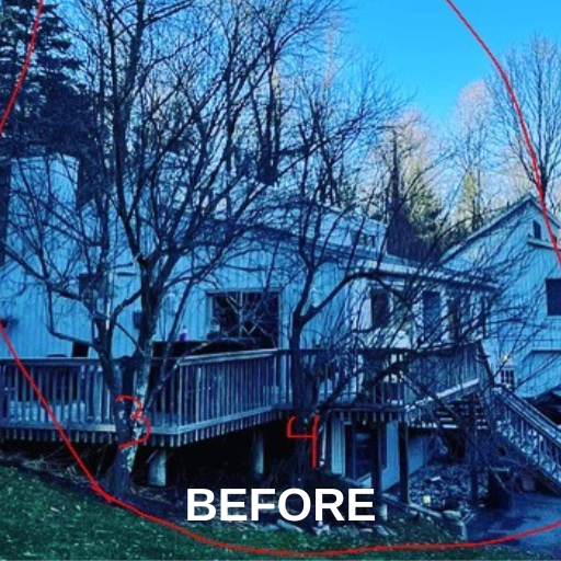 Tree Near The Deck — Ware, MA — LaBier Brothers Tree Experts