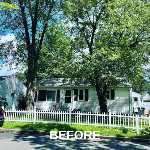 Trees Near The Fence — Ware, MA — LaBier Brothers Tree Experts