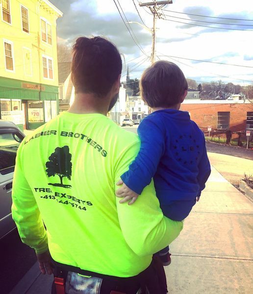 Big Tree In The Front Of The House — Ware, MA — LaBier Brothers Tree Experts