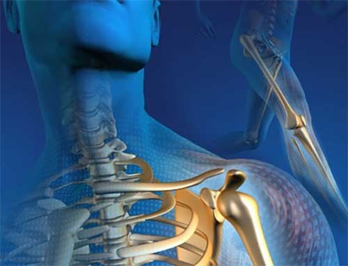 DR. RAFAEL ASTORGA IBARRA - articulaciones
