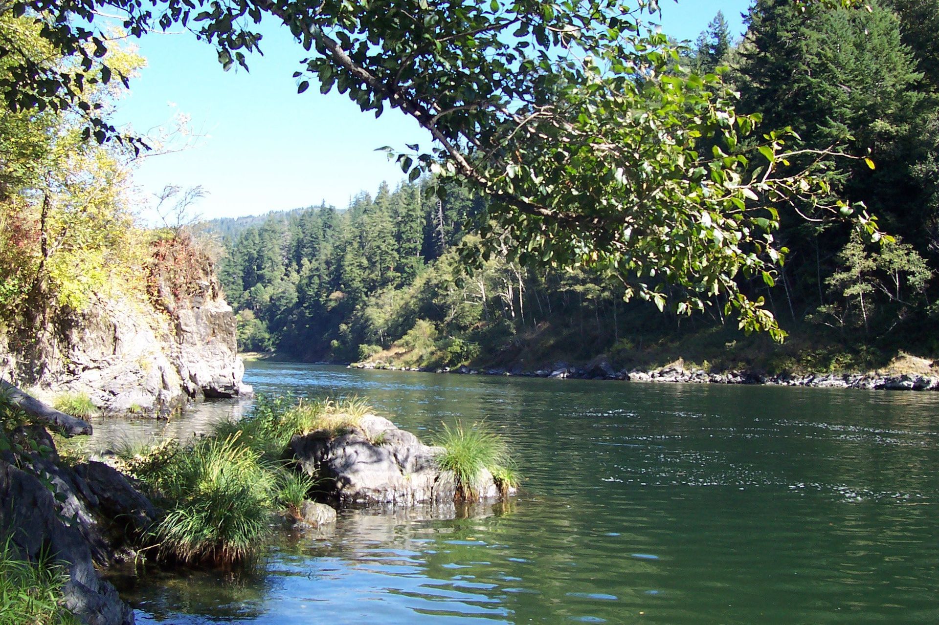 River Surrounded by Trees and Rocks on A Sunny Day