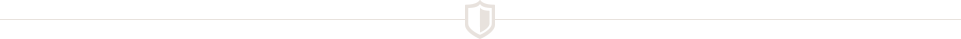 Shield for decoration icon | Leonardi Automotive