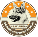 German Shepherd Rescue | Leonardi Automotive