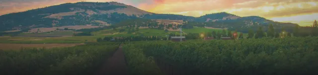 Outside view scenery with hills and trees | Leonardi Automotive