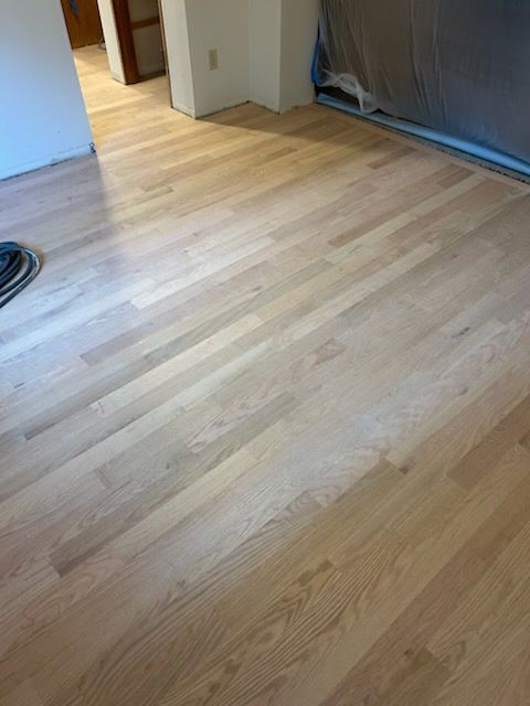 Empty room with light wood flooring and a doorway, lit by natural light.