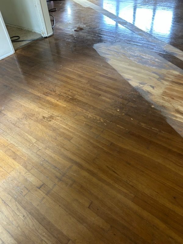 Shiny hardwood floor with visible water or stain across a sunlit room