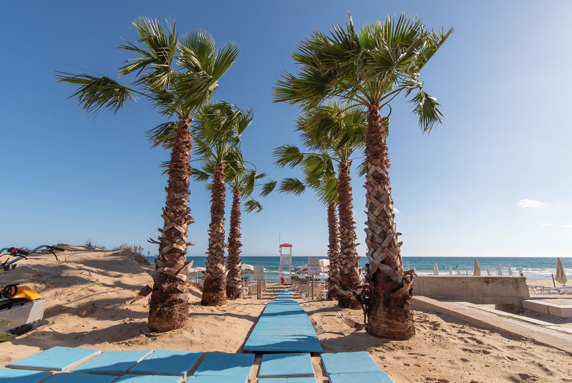 Palm-lined sandy beach with blue boardwalk leading to the sea under a clear sky