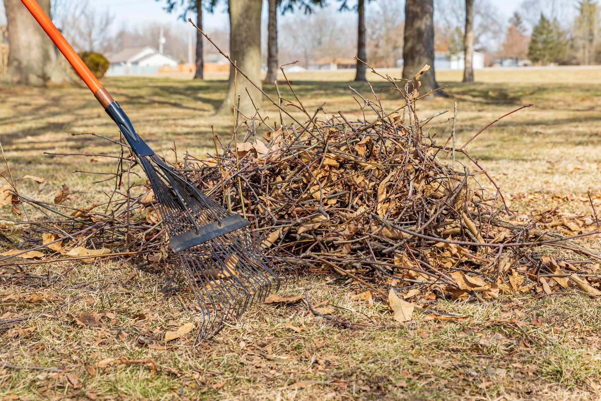 Rake piles leaves and branches on brown grass, with trees and a house in the background.