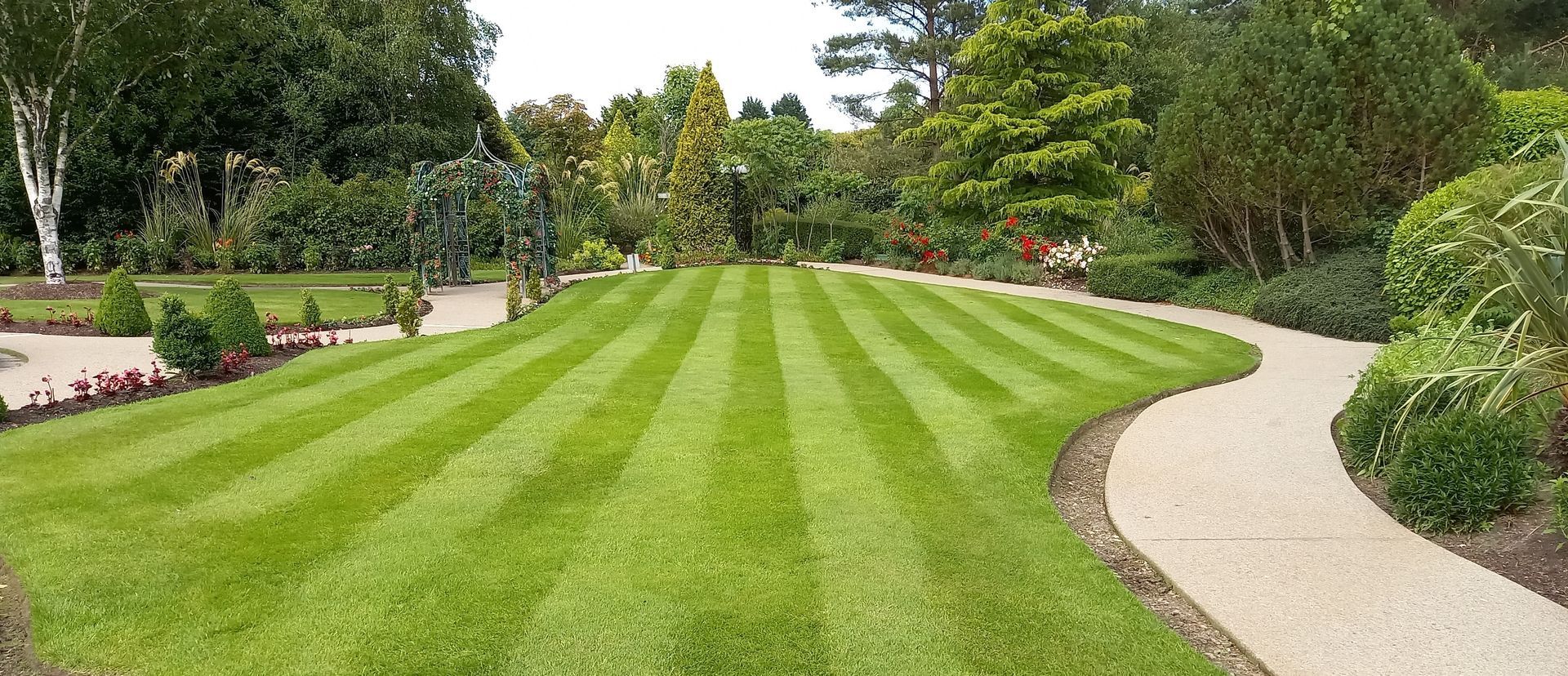 A green lawn with stripes, a curved gravel path, and trees in a garden setting.