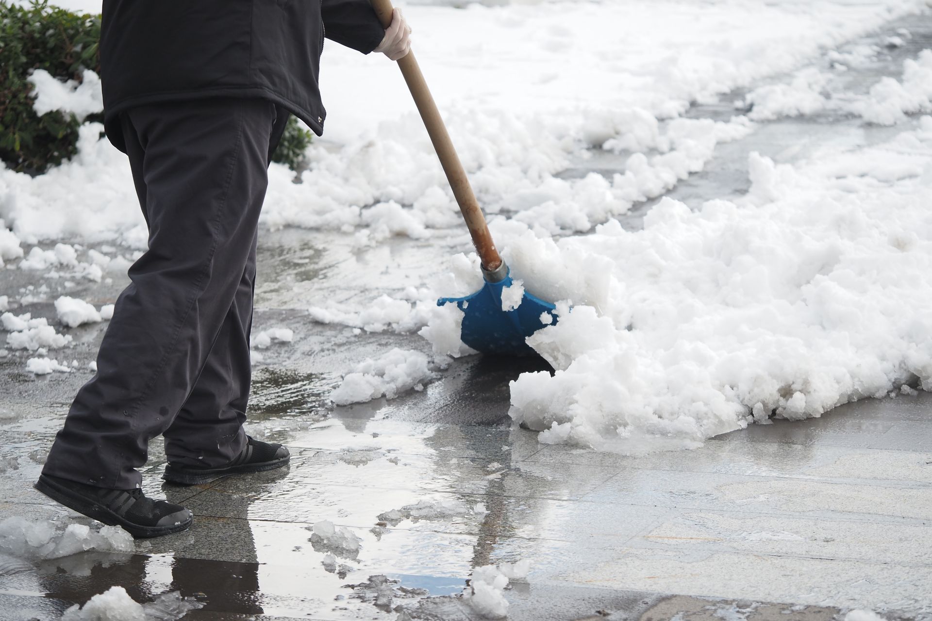 Person shovels wet snow from a sidewalk, using a blue shovel.