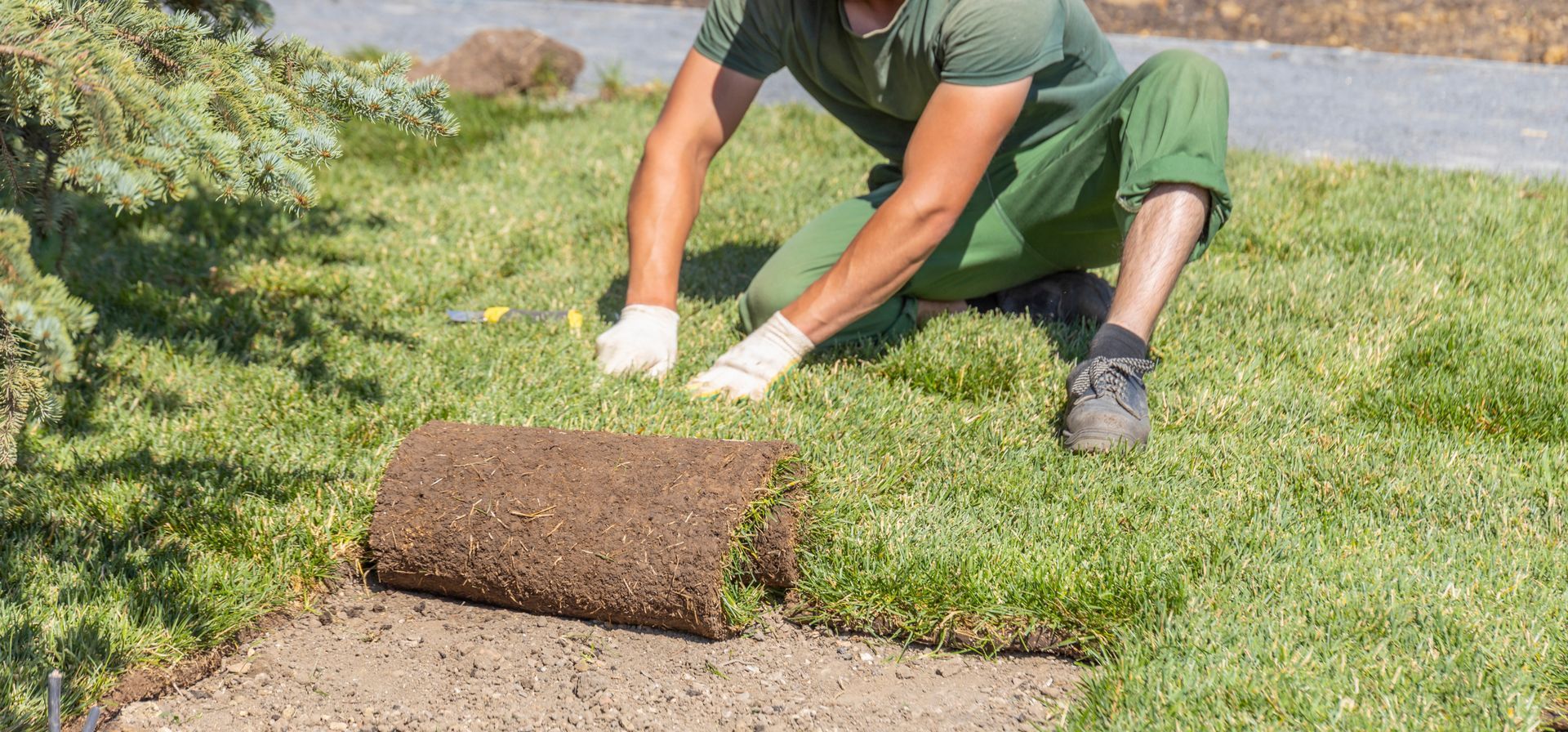Worker rolling turf onto a lawn beside a paved edge