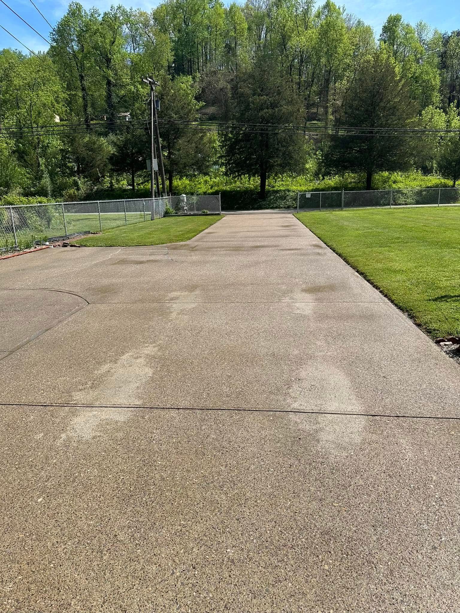 Concrete path leading into a green park with trees and grass on a sunny day
