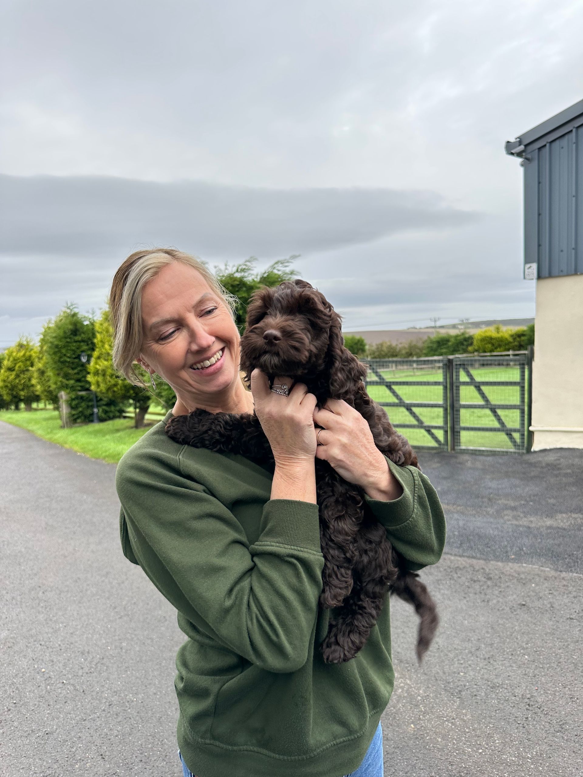 Pet courier picture 