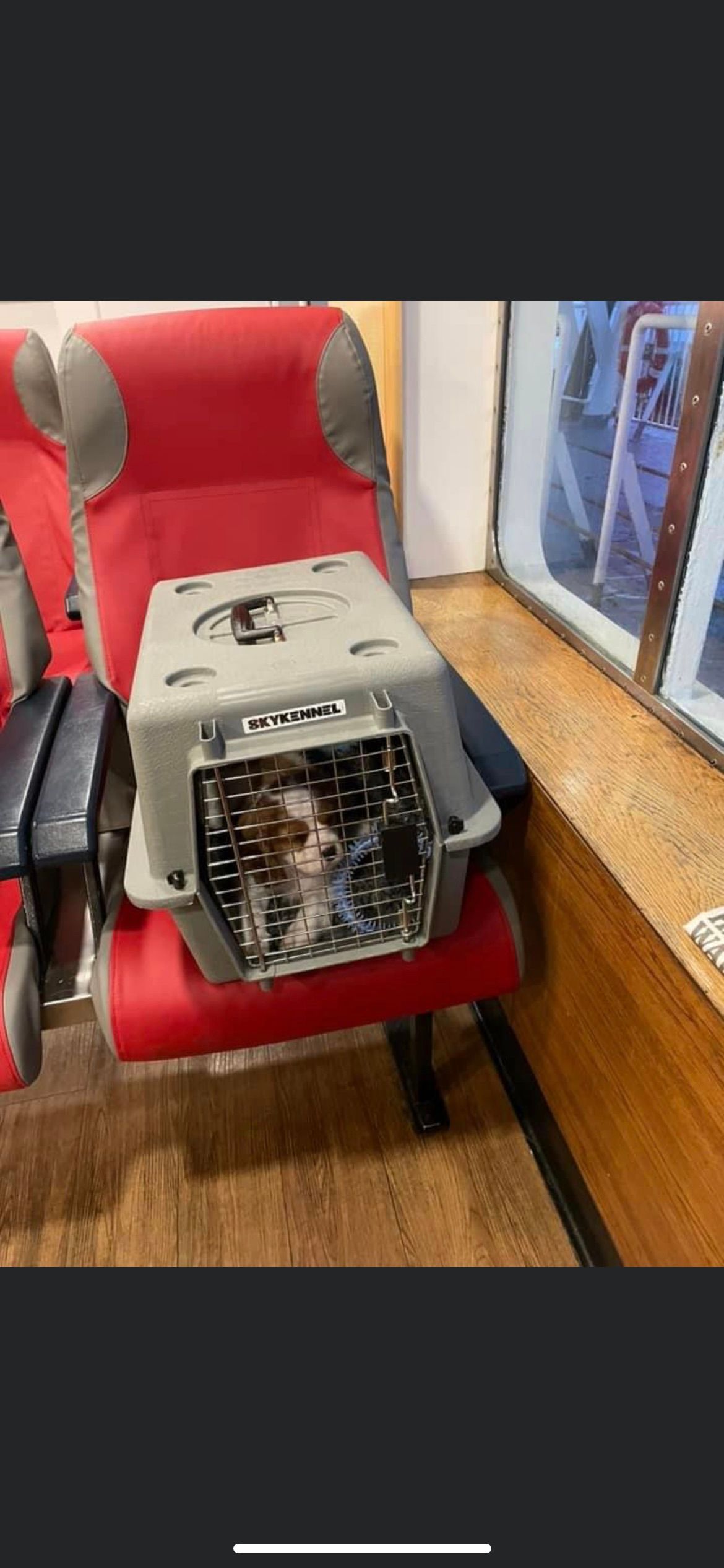 Prestige Pet Services on Isle of Man ferry