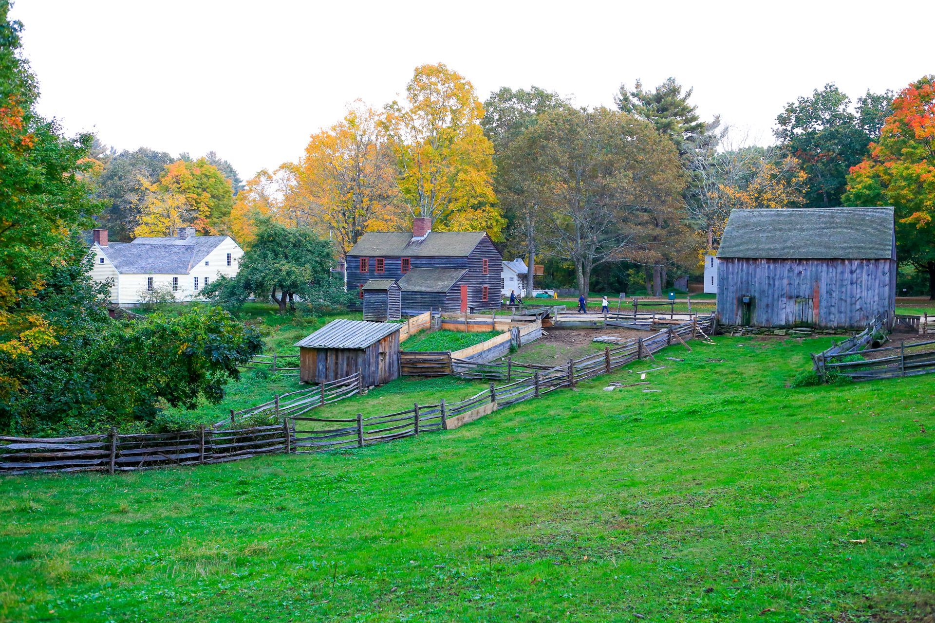 Rural farm scene with house, barn, gardens, and wooden fences on a green hillside under autumn-colored trees.