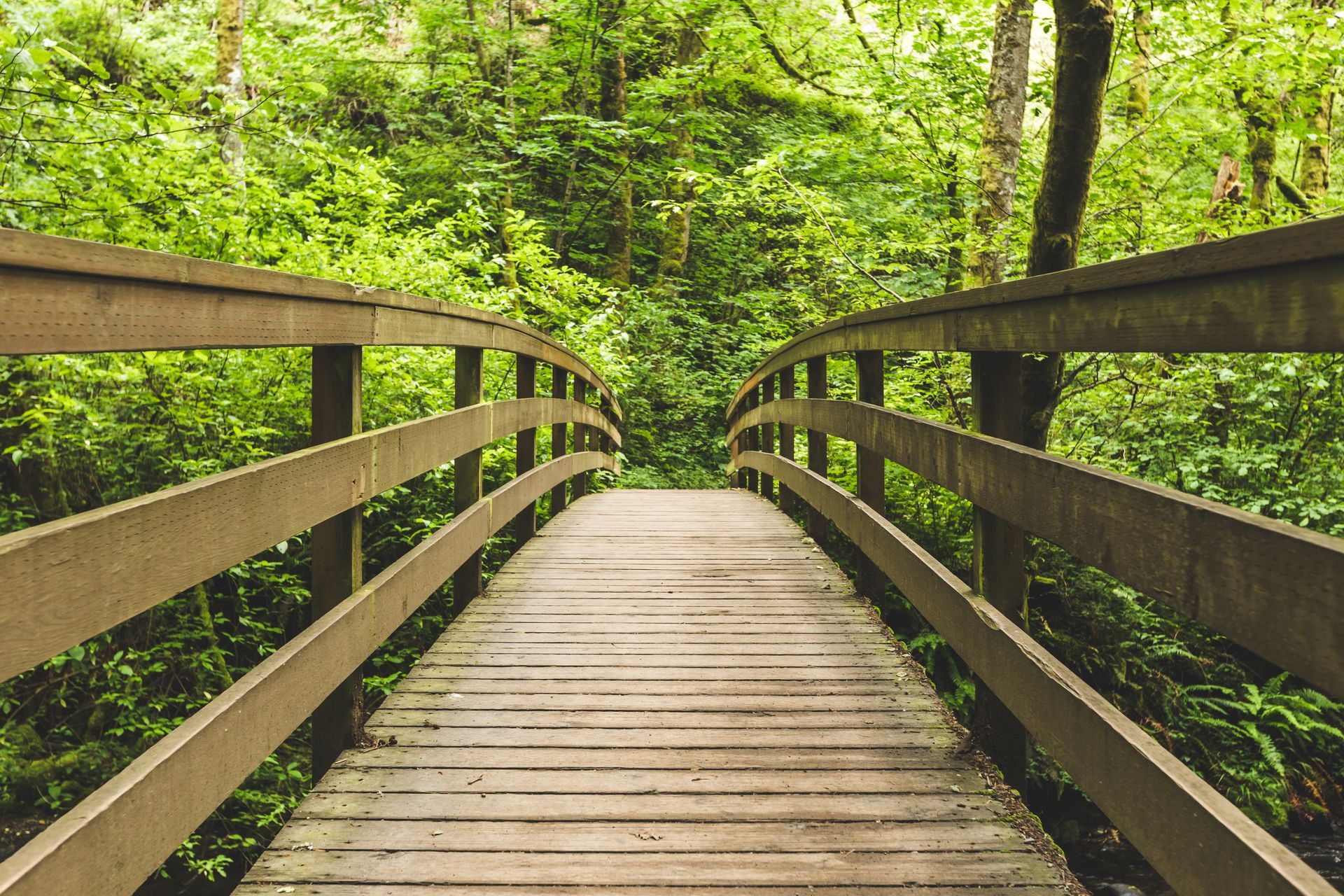 Wooden bridge arches over a path, leading into lush green forest.