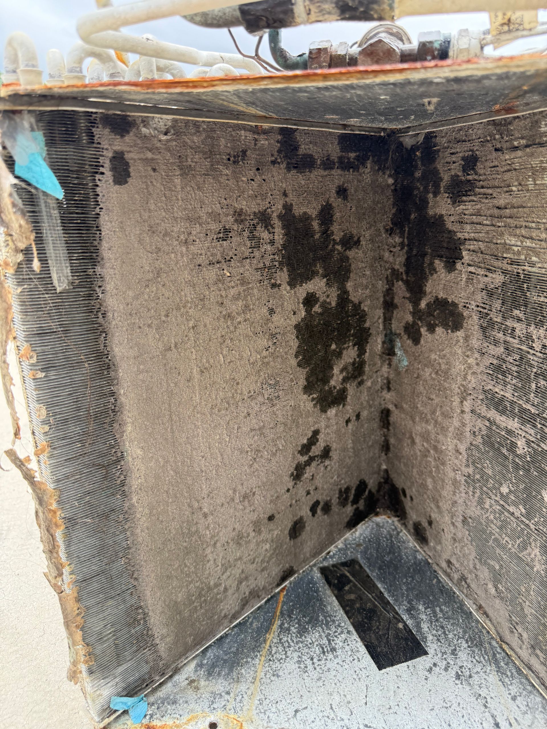 A dirty, heavily clogged HVAC evaporator coil covered in dark mold or debris, viewed from an open service panel.