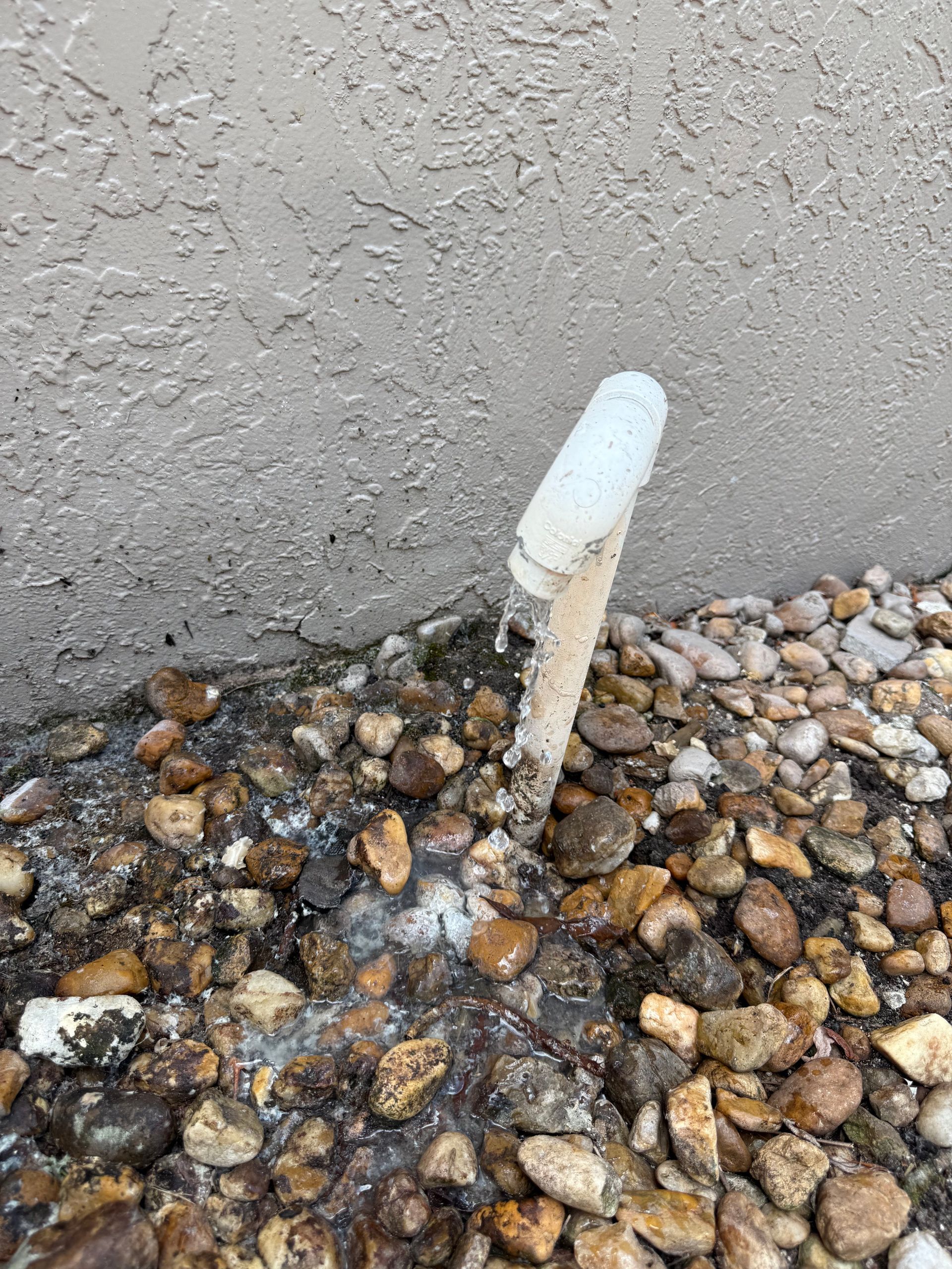 A white PVC drain pipe protruding from the ground against a beige wall, dripping water onto a bed of decorative rocks.