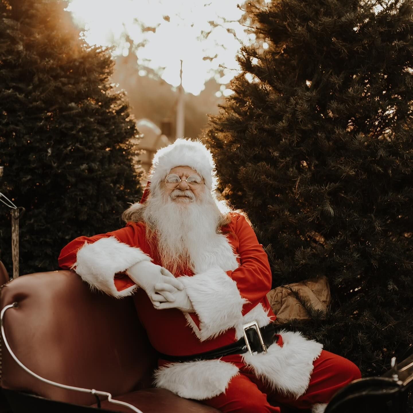 Christmas Tree Farm