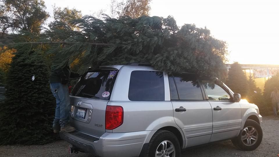 A silver suv with a Christmas tree on top of it